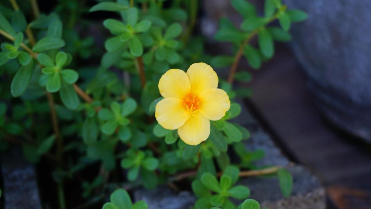 Homestay Bao Tran Ap Tan An  Esterno foto